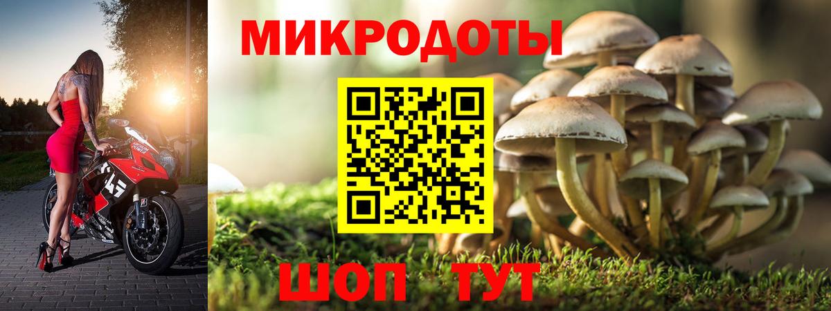 Миллерово  Псилоцибиновые грибы GOLDEN TEACHER  Вход с VPN  Псилоцибиновые грибы ЛСД 